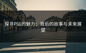探寻P站的魅力：背后的故事与未来展望