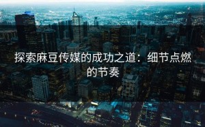 探索麻豆传媒的成功之道：细节点燃的节奏