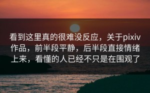 看到这里真的很难没反应，关于pixiv作品，前半段平静，后半段直接情绪上来，看懂的人已经不只是在围观了