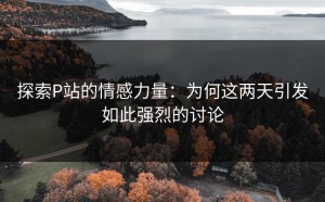 探索P站的情感力量：为何这两天引发如此强烈的讨论