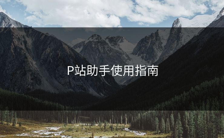 P站助手使用指南