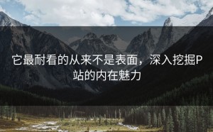 它最耐看的从来不是表面，深入挖掘P站的内在魅力