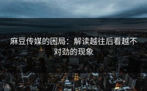 麻豆传媒的困局：解读越往后看越不对劲的现象