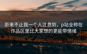 原来不止我一个人注意到，p站全称在作品区里比大家想的更能带情绪