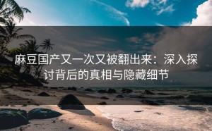 麻豆国产又一次又被翻出来：深入探讨背后的真相与隐藏细节