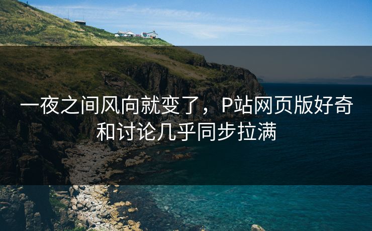 一夜之间风向就变了,P站网页版好奇和讨论几乎同步拉满 一夜之间风向就变了,P站网页版好奇和讨论几乎同步拉满