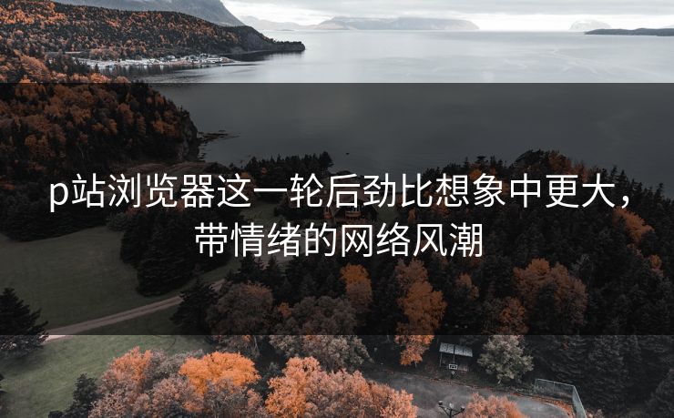 p站浏览器这一轮后劲比想象中更大,带情绪的网络风潮 p站浏览器这一轮后劲比想象中更大,带情绪的网络风潮