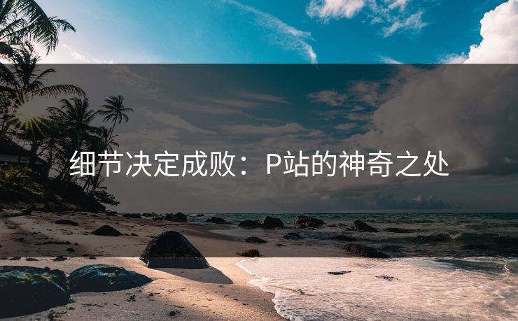 细节决定成败:P站的神奇之处 细节决定成败:P站的神奇之处